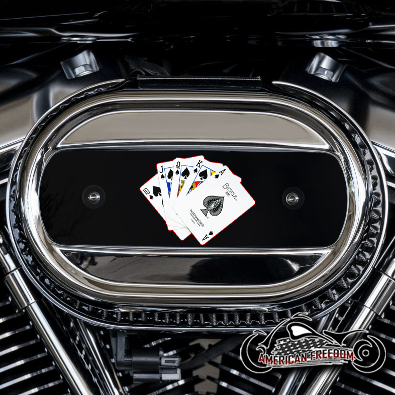 Harley Davidson M8 Ventilator Insert - Cards